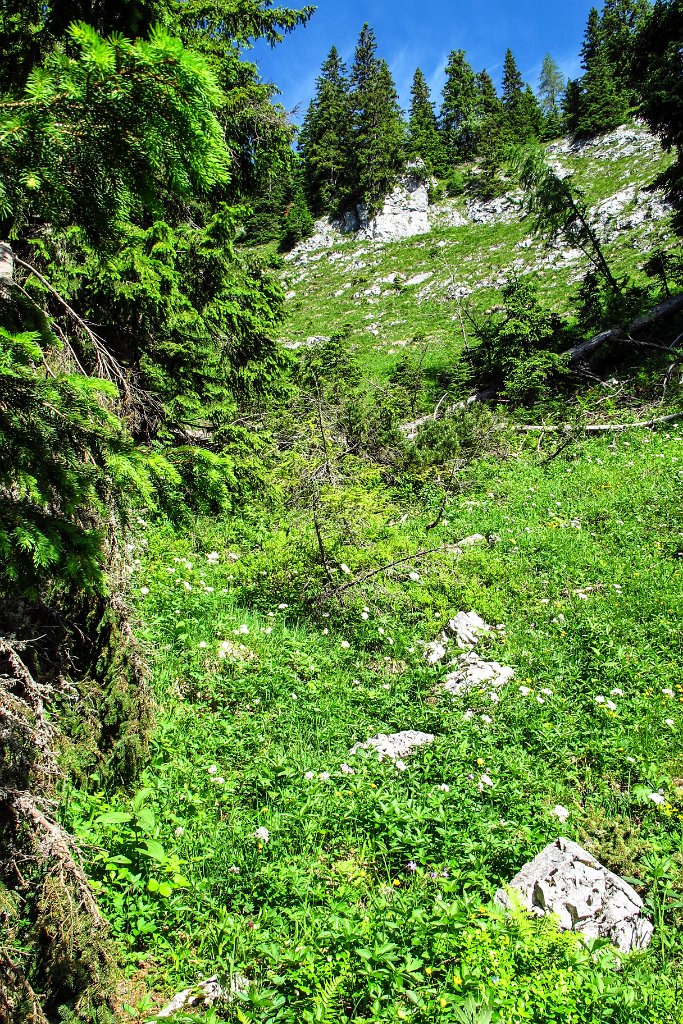 09_Aufstieg ueber die Schafmauer.jpg